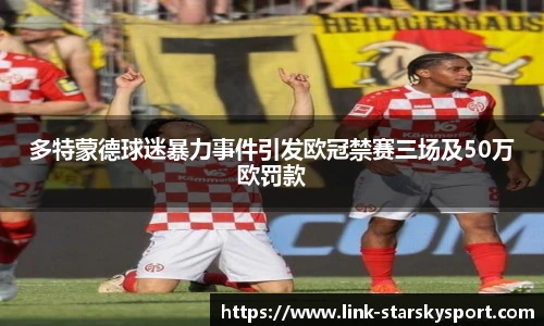 多特蒙德球迷暴力事件引发欧冠禁赛三场及50万欧罚款
